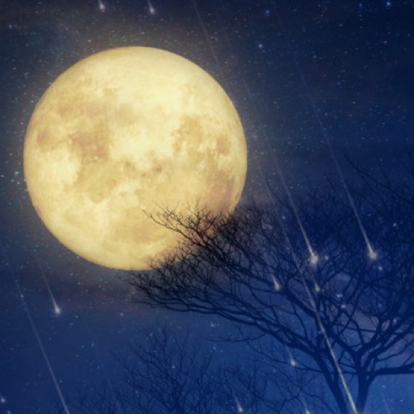 moonsales
